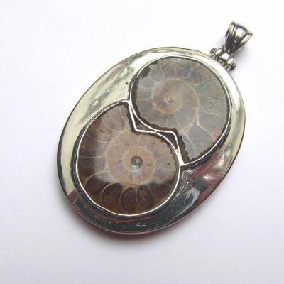 Pendentif ammonite