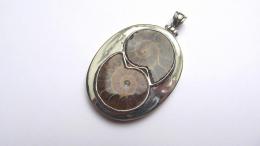 Pendentif ammonite