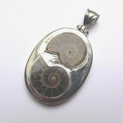 Pendentif ammonite