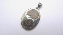 Pendentif ammonite