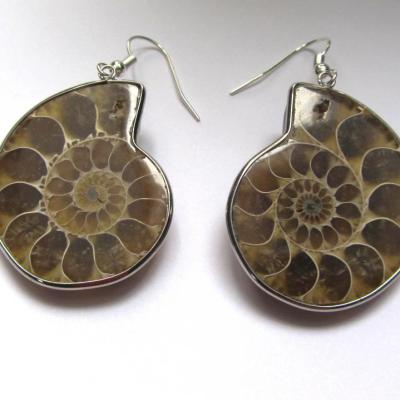 Boucles d'oreilles ammonite
