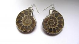 Boucles d'oreilles ammonite