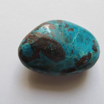 Chrysocolle