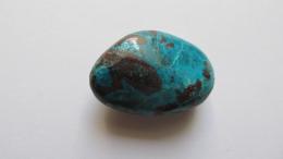 Chrysocolle