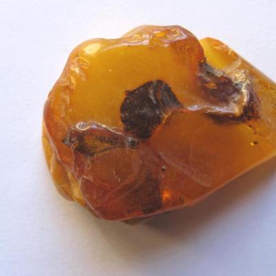 Ambre