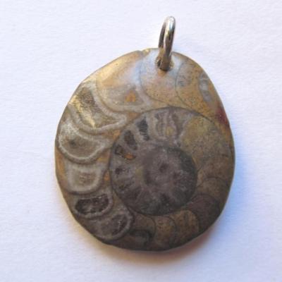 Pendentif ammonite