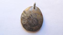 Pendentif ammonite