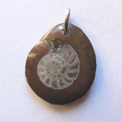 Pendentif ammonite