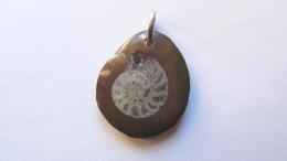 Pendentif ammonite