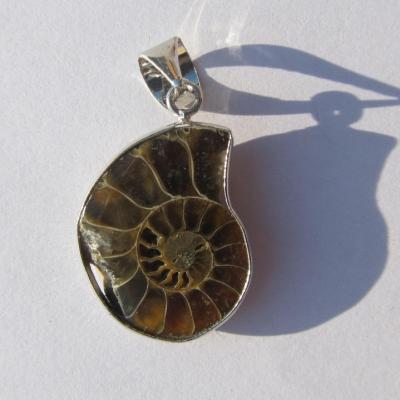Pendentif ammonite