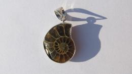 Pendentif ammonite