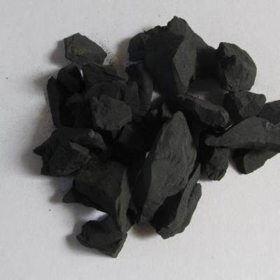 Shungite pièces pour l'eau