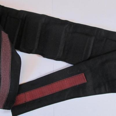 Shungite ceinture