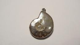 Pendentif ammonite